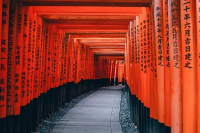 Mga Nakatagong Hiyas ng Japan — Off-the-Beaten-Path Spots para sa mga Pilipino