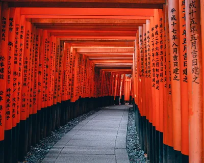 🎌 Best Anime Pilgrimage Japan