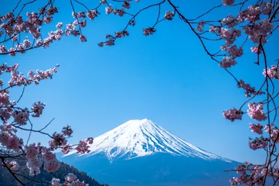 Unang Beses sa Japan? Kumpletong Gabay para sa First-Time Filipino Traveler