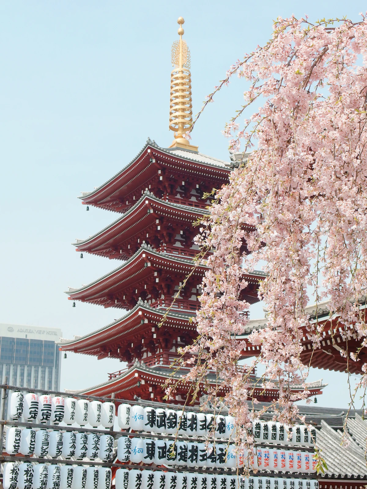 Nature at Outdoor Activities sa Japan — Hiking at Adventure Guide