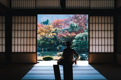 🌄 Best Kobe, Nara at Himeji — Perfect Day Trip Guide