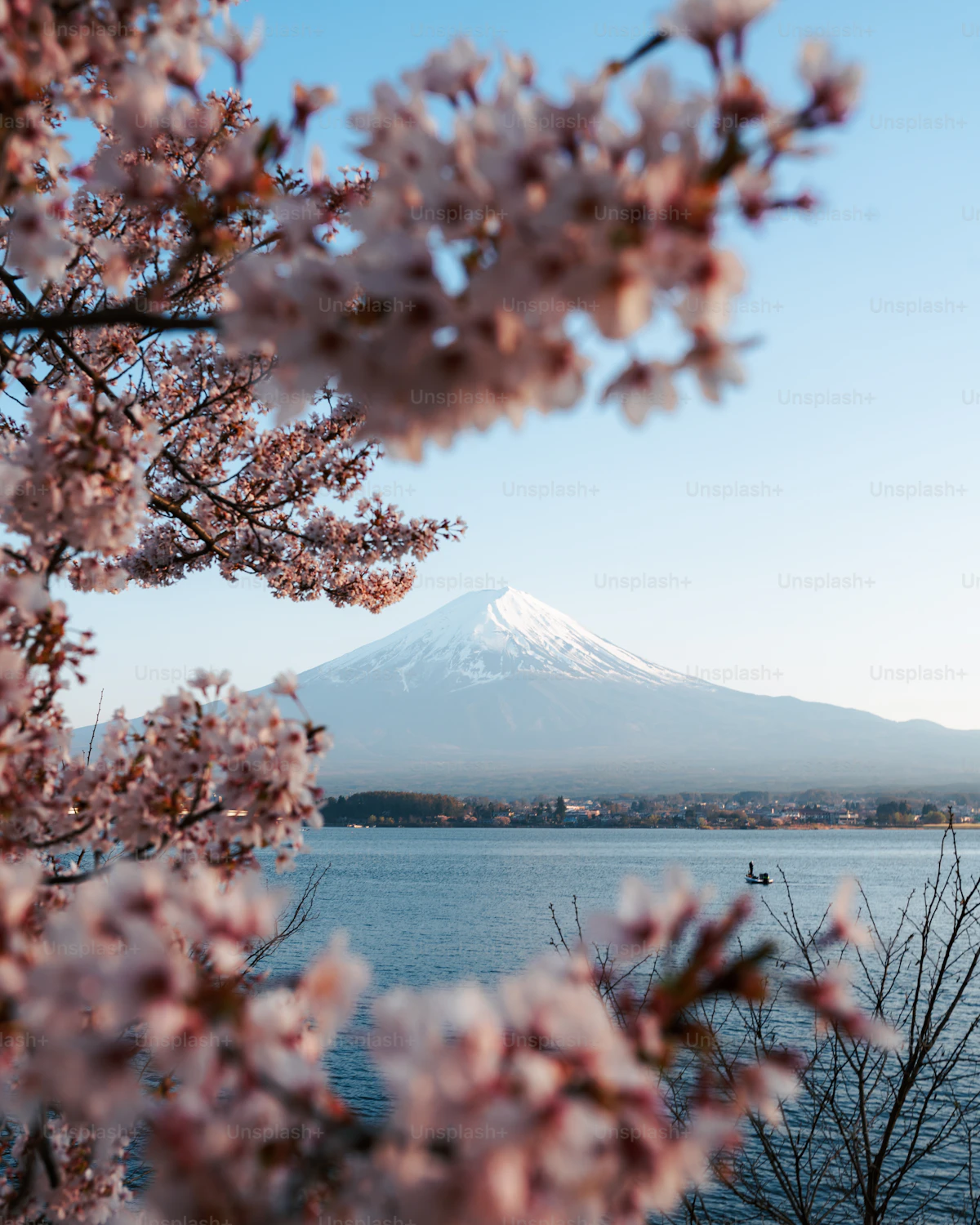 Pag-aaral sa Japan — Gabay para sa Estudyanteng Pilipino