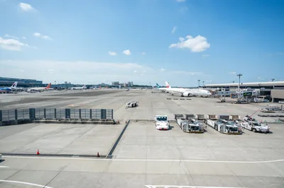 Airport terminal arrival Japan