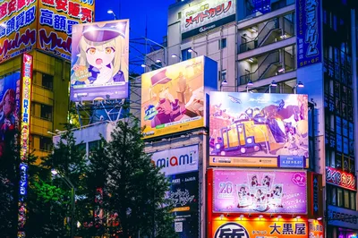 Electronics shopping Akihabara