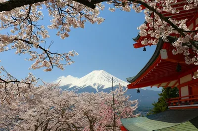 Kyoto temple architecture
