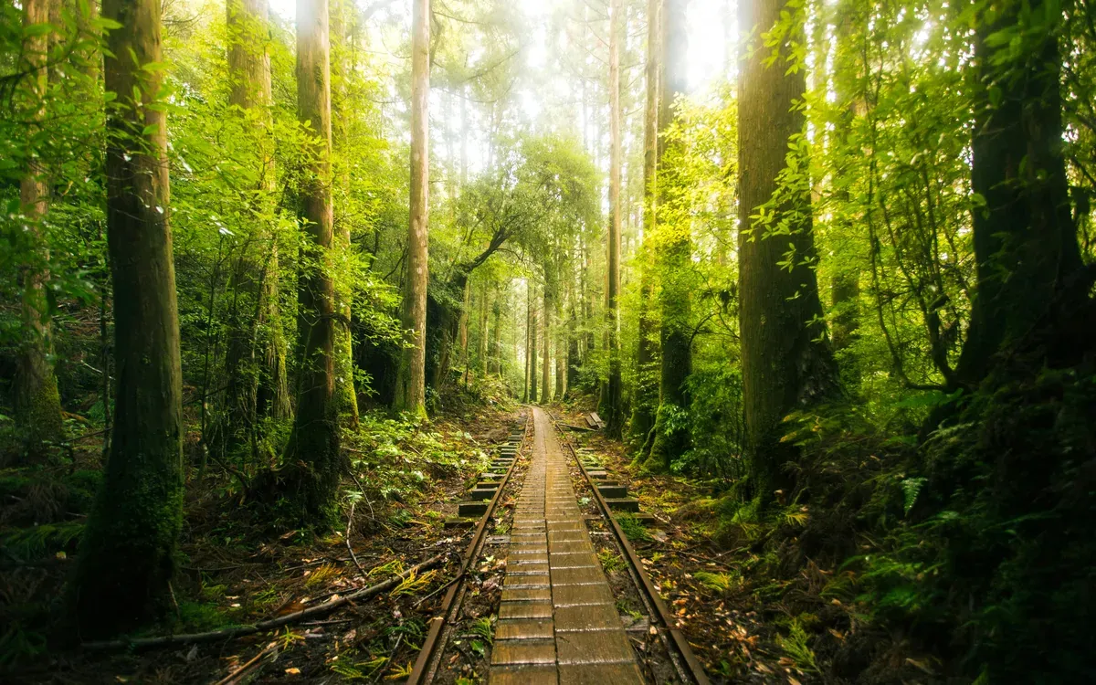 Ghibli Park Aichi — Complete Guide