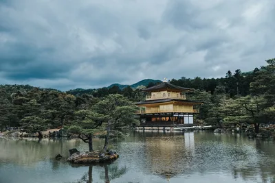 🗼 Tokyo Attractions