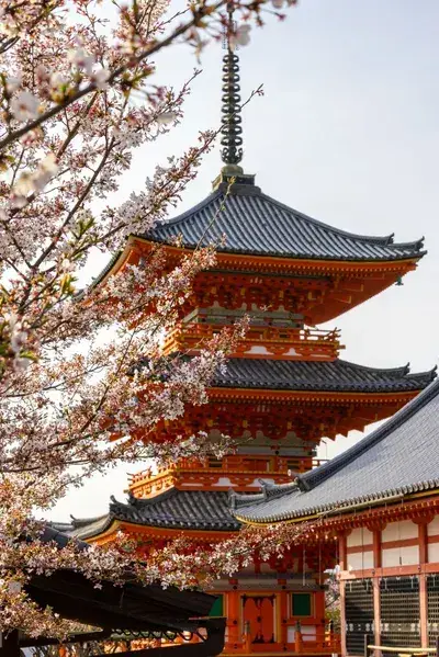 Kyoto traditional temple architecture