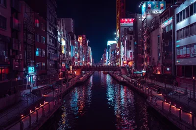 Osaka nightlife Dotonbori