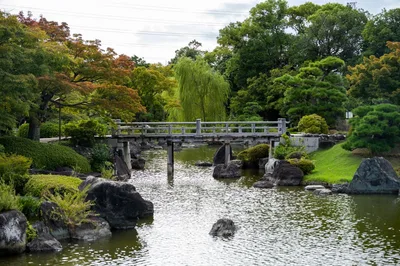 🏔️ Digital Detox Japan
