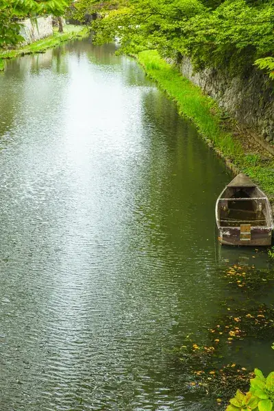 🚄 Japan Road Trip Guide — Best Routes at Tips para sa Pinoy