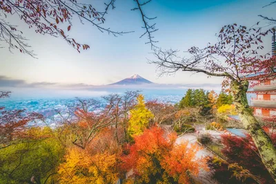 Four seasons Japan landscape
