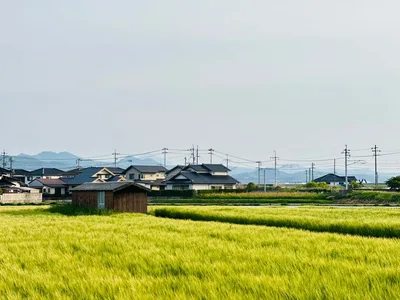 Shikoku rural landscape Japan