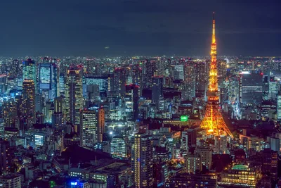 Study abroad student Japan