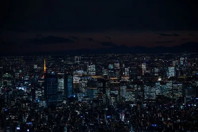 Tokyo night skyline city lights