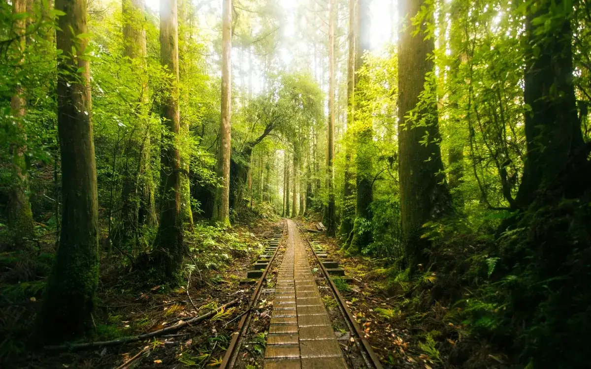 Studio Ghibli Pilgrimage Guide | Anaba Pilipinas